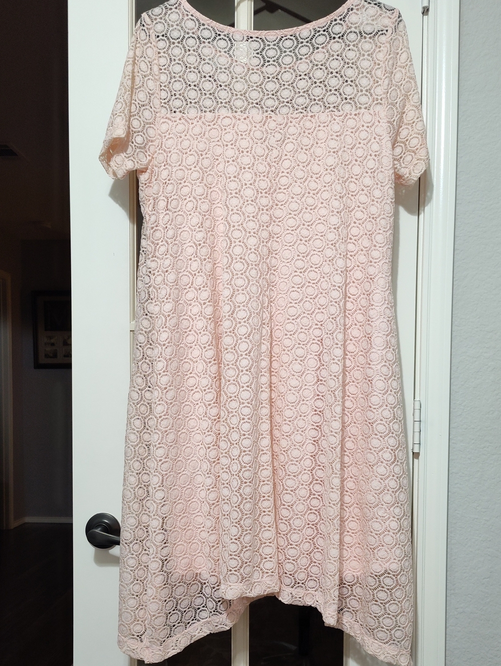 Lane Bryant Blush Pink Lace Overlay Dress, Size 14-16 - Picture 3 of 9